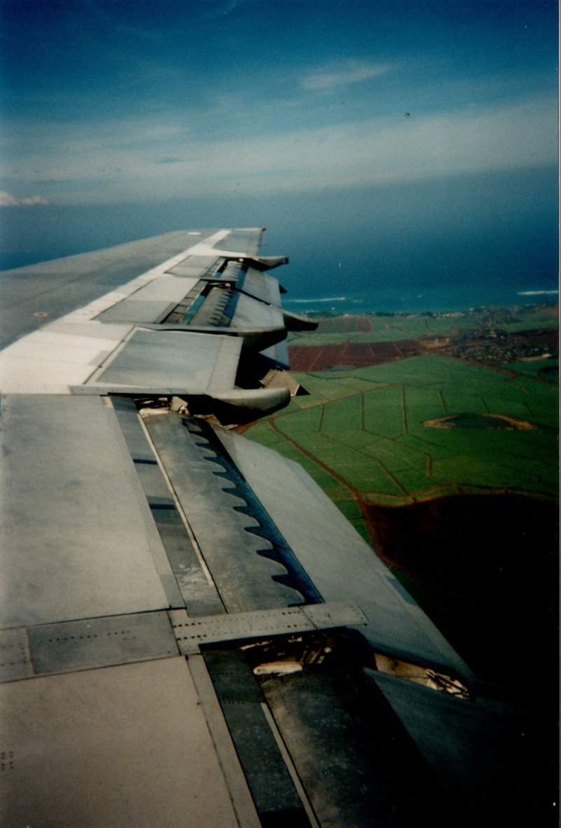 1996-06-Wing.jpg, 132kB
