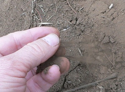 Dirt.jpg, 42kB