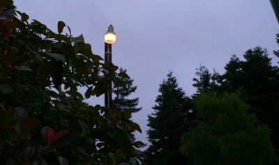 Noisy-Lamp.jpg, 21kB