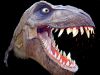 T-rex1.jpg, 2 kB