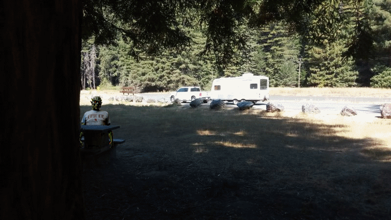 IMG_20250820_Donky_Anam.gif, 367kB