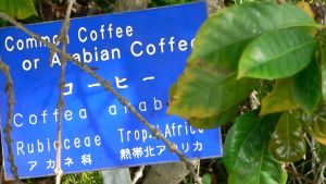 CoffeeSign.jpg, 16 kB