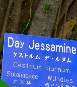 JessamineSign.jpg, 17 kB