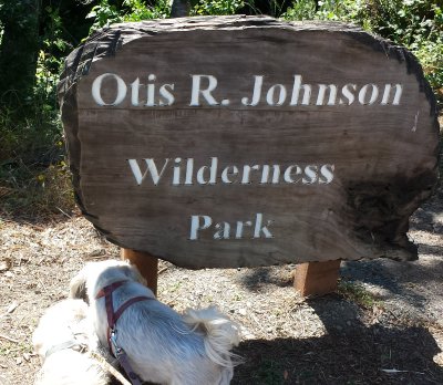 OtisRJohnson-Park-20150704.jpg, 44kB